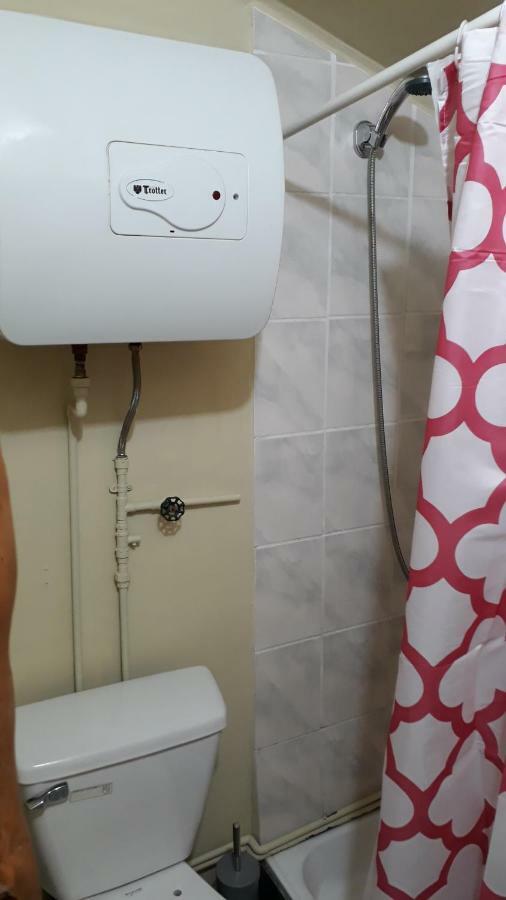 La Rosadita Restotur Otel Palena Dış mekan fotoğraf